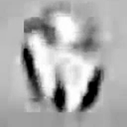 DOD_111719800 — isolated (scene removed)