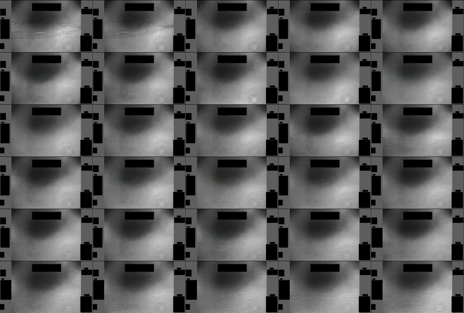 DOD_111689083